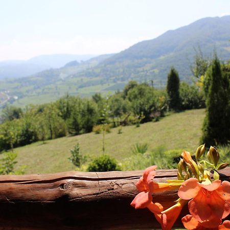 Visoko Gorani Cottage Luaran gambar