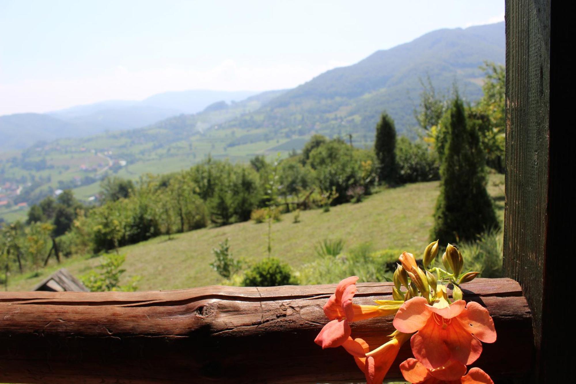 Visoko Gorani Cottage Luaran gambar