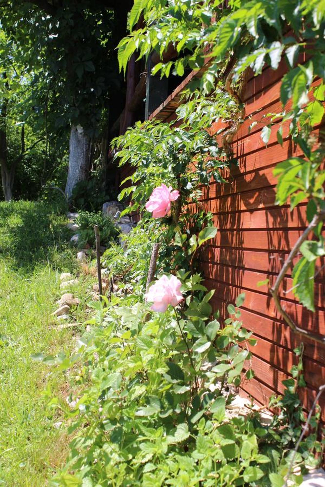 Visoko Gorani Cottage Luaran gambar