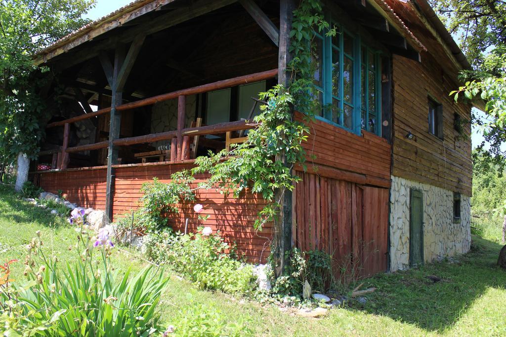 Visoko Gorani Cottage Luaran gambar