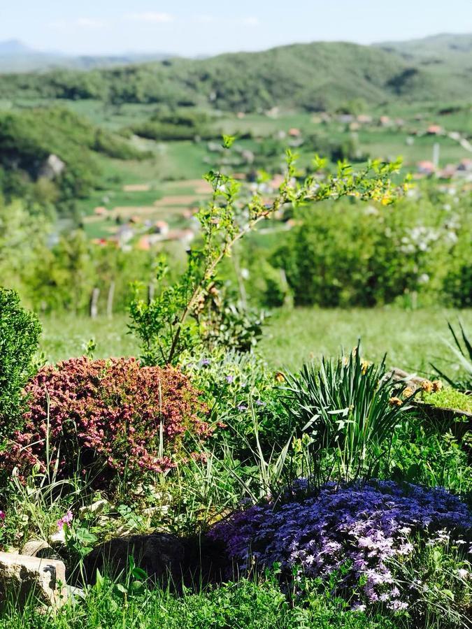 Visoko Gorani Cottage Luaran gambar